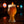 IPA Craft Beer Box - Free Shipping