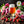 Rare Craft Beer 750 ML Box